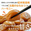 和歌山県御坊市の画像2