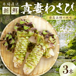 【ふるさと納税】発祥の地　和歌山県から直送　真妻わさび　3本