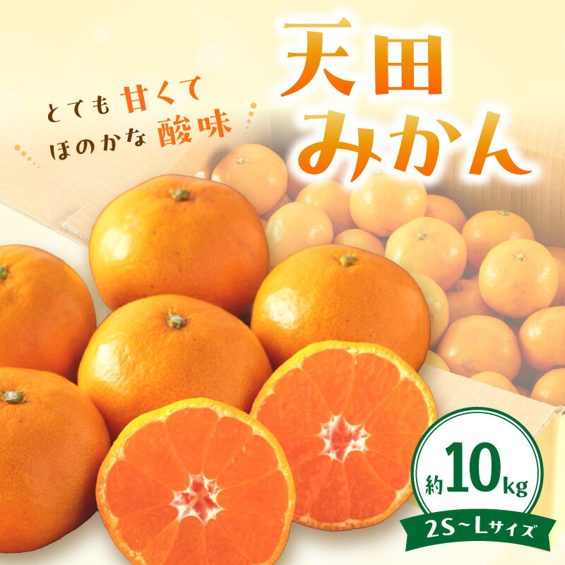 【ふるさと納税】岡農園直送！　天田みかん（温州みかん）10kg《先行予約》