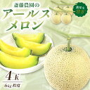 【ふるさと納税】斎藤農園のアールスメロン マスクメロン 4玉 6kg程度≪先行予約2024年6月下旬以降発送分≫【配送不可地域：北海道・青森・秋田・岩手・沖縄・離島】高級 極上 果物 フルーツ 産…