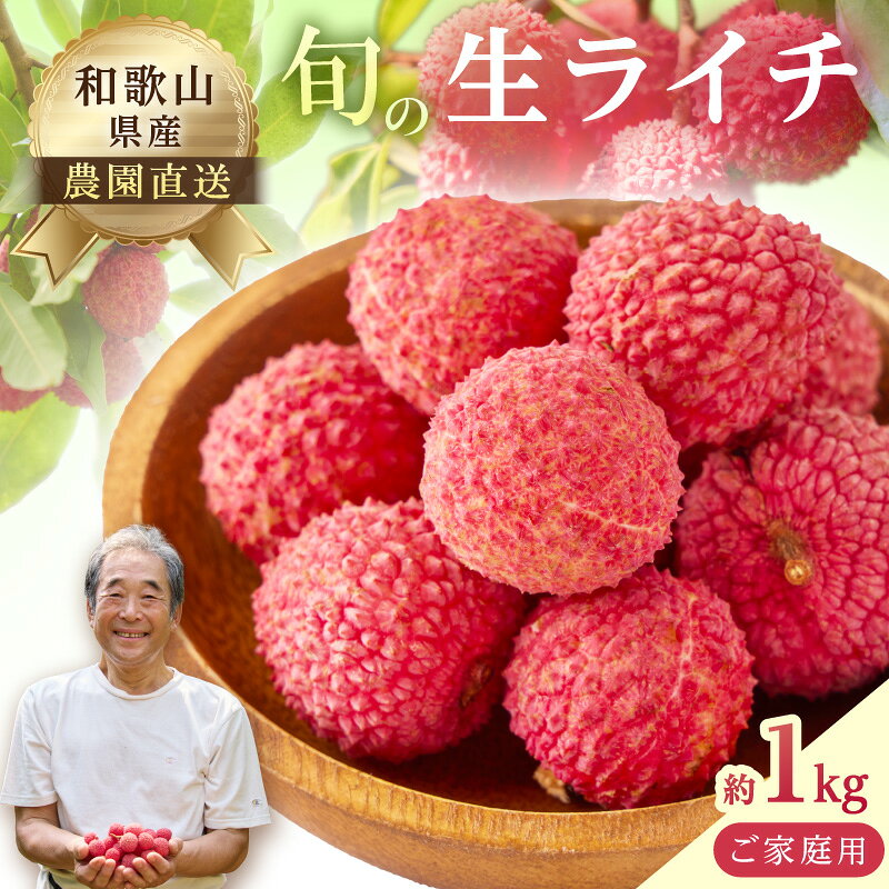 南国フルーツ 生ライチ 旬の品種 （1kg程度）家庭用≪先行予約≫2026年7月中旬頃より順次発送分