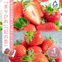 【ふるさと納税】農園直送！完熟イチゴ食べ比べセット「まりひめ」「紀の香」【配送不可地域：北海道・沖縄・離島】 いちご 苺 イチゴ フルーツ くだもの 果物 旬 パック 送料無料 数量限定 ふるさと納税 いちご