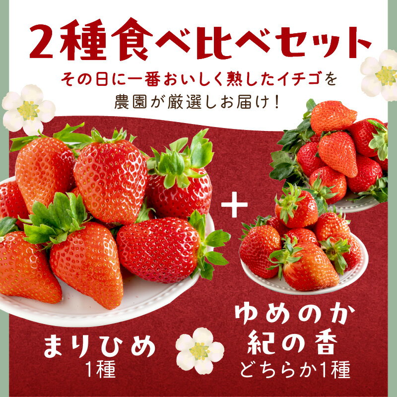 和歌山県御坊市の画像2