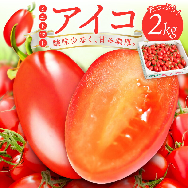 ミニトマト(アイコ)2kg[先行予約2023年12月中旬頃より発送予定]トマト ミニトマト アイコトマト 2キロ 野菜 ふるさと納税 ミニトマト 発送時期が選べる