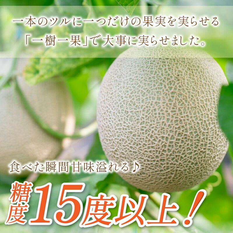 【ふるさと納税】やまの農園　感謝のメロン～一期一会「うしわか」～（先行予約2024年7月中旬より順次発送予定） フルーツ メロン マスクメロン 特大2玉 送料無料 数量限定 予約 先行予約 ふるさと納税 メロン