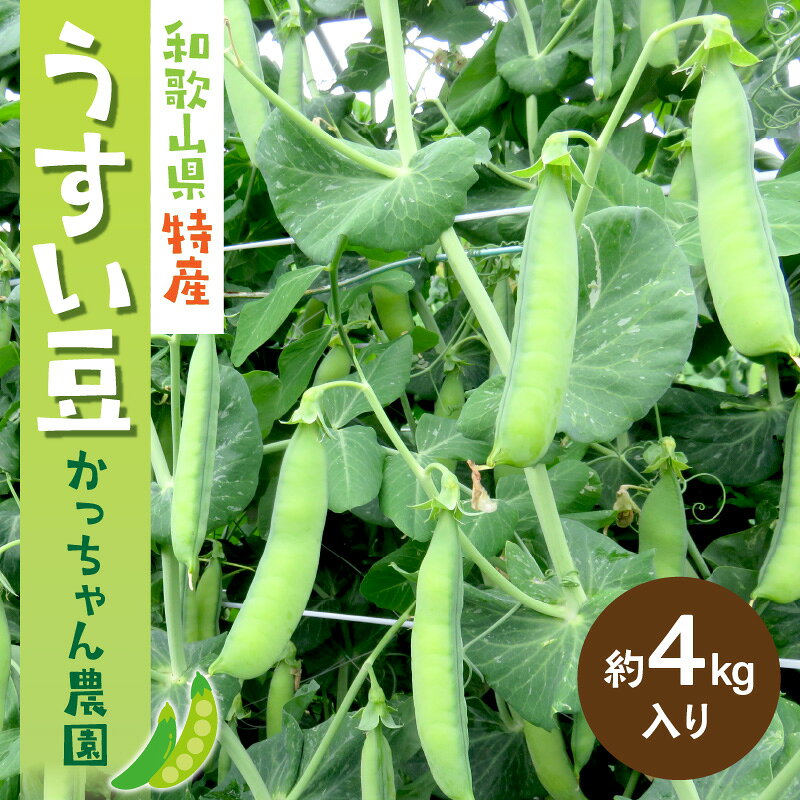 うすい豆 かっちゃん農園 4kg入り