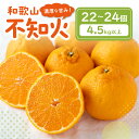 【ふるさと納税】濃厚な甘み 和歌山不知火【22〜24個】≪先行予約2025年2月下旬より順次発送分≫