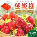 【ふるさと納税】プレミアム完熟いちご 毬姫様(まりひめさま)9~12粒入り《先行予約》2025年12月から順次発送【配送不可地域:北海道・沖縄・離島】 ふるさと納税 いちご 予約 先行予約 甘い 苺 イチゴ フルーツ くだもの 果物 旬 パック 送料無料 発送時期が選べる