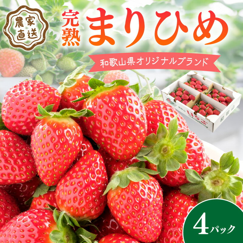 2位! 口コミ数「146件」評価「4.25」《全国いちご選手権2022年第2位・2023年第3位！》農家直送 完熟まりひめ（和歌山県オリジナルブランド いちご）4パック《先行予約》【配･･･ 