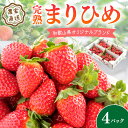 【ふるさと納税】《全国いちご選手権2022年第2位・2023年第3位！》農家直送 完熟まりひめ（和歌 ...