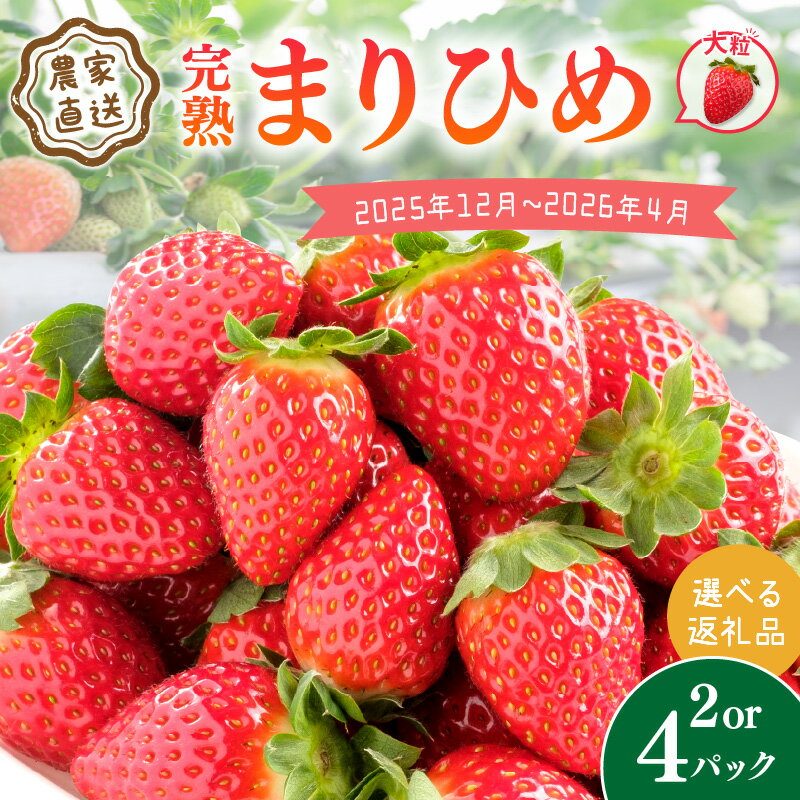【ふるさと納税】農家直送！大粒完