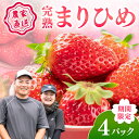【ふるさと納税】農家直送!まりひめ いちご 4パック(限定価格)《先行予約》2026年4月より順次発送【配送不可地域:北海道・沖縄・離島】 いちご 苺 イチゴ フルーツ くだもの 果物 旬 パック 送料無料 ふるさと納税 いちご 予約 先行予約