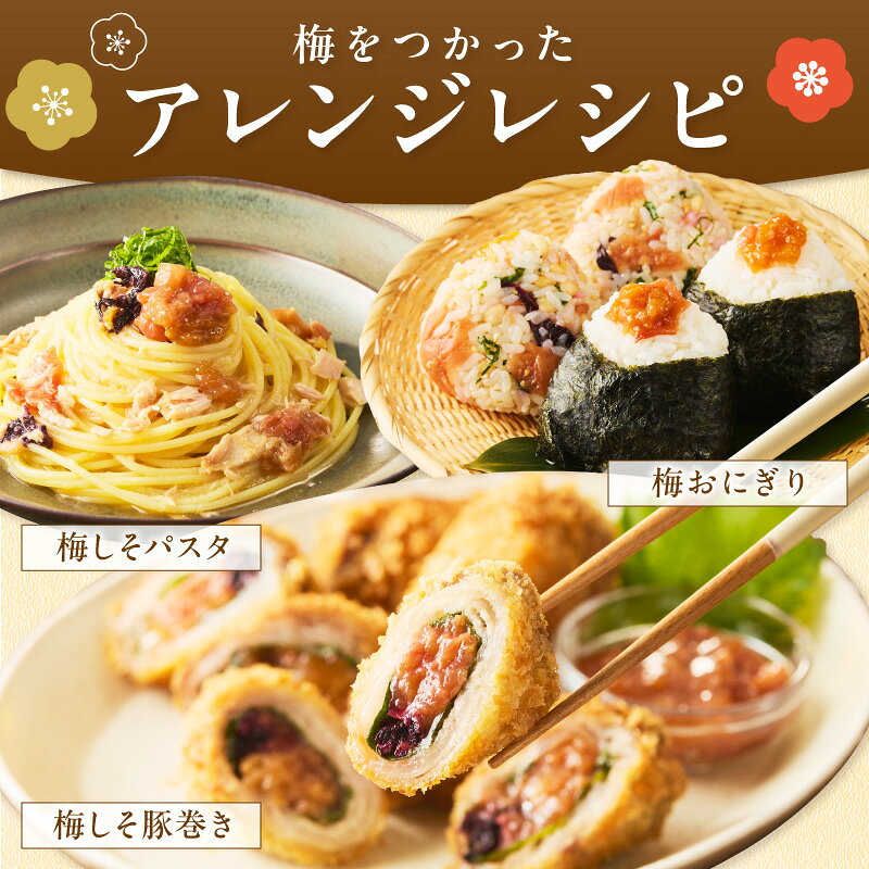 【ふるさと納税】【和歌山県/紀州南高梅】紀州南高梅 かつお風味 1.5kg(500g×3パック) 塩分約6% f302058-gobo-10001210 和歌山県御坊市 サンプル画像3