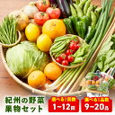 【ふるさと納税】紀州の野菜・果物セット定期便 9〜14品目 15〜20品目 1回 6回 12回 旬の野菜 詰め合わせ 詰合せ 野菜 送料無料