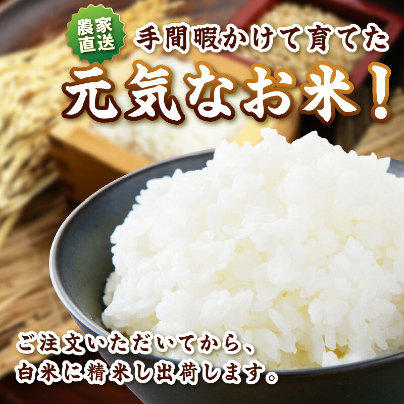 【ふるさと納税】令和7年産 和歌山県産 白米 選べる 銘柄 5kg キヌヒカリ にじのきらめき きぬむすめ f302058-gobo-10001465 和歌山県御坊市 サンプル画像2