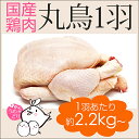 【ふるさと納税】紀州うめどり 丸鶏