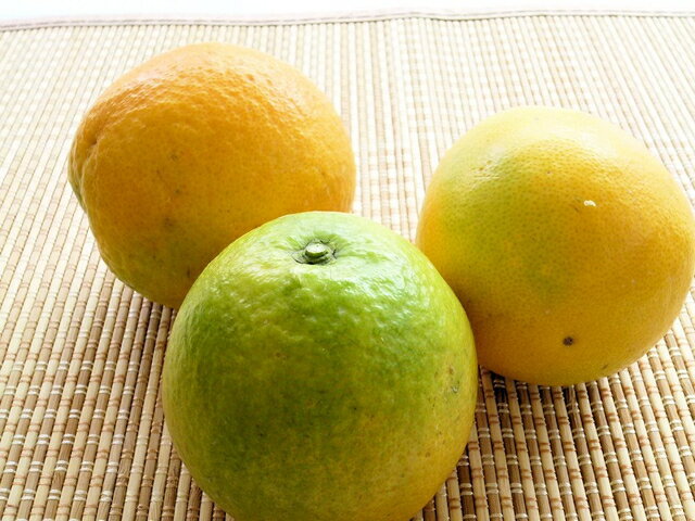 【ふるさと納税】バレンシアオレンジ 5kg(めずらしい国産です)