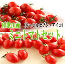 【ふるさと納税】ミニトマトセット【 キャロルセブン・アイコ】...