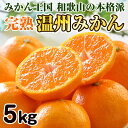 【ふるさと納税】和歌山のみかん職人が作る 完熟温州みかん 5kg 【ふるさと納税】和歌山のみかん職人が作る 完熟温州みかん 5kg