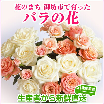バラの花 約25輪 花のまち御坊産の薔薇 生産者から新鮮直送