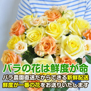 【ふるさと納税】バラの花 約20本 花のまち御坊産の薔薇 生産者から新鮮直送【配送不可地域】北海道・青森・秋田・岩手・沖縄