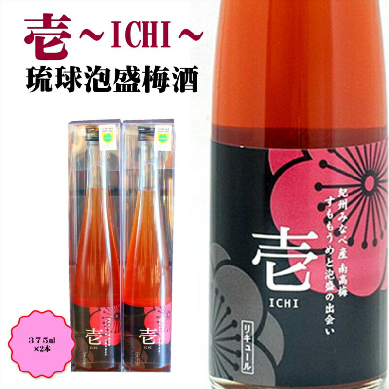 【ふるさと納税】壱～ICHI～　泡盛梅酒　375ml（2本）