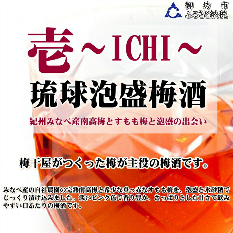 【ふるさと納税】壱～ICHI～　泡盛梅酒　375ml（2本）