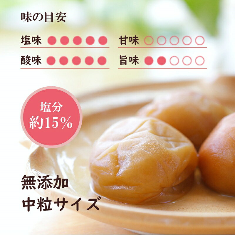 【ふるさと納税】紀州綜合食品　白干1.2kg 無添加 塩分15％ 中粒