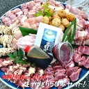 【ふるさと納税】焼き鳥屋が作る【本格焼き鳥お任せセット50本】