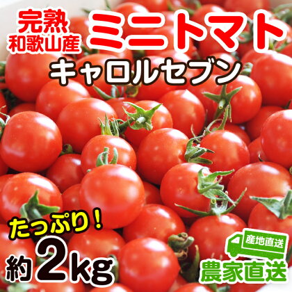完熟 ミニトマト(キャロルセブン)約2kg トマト農家直送 和歌山県産