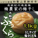 【ふるさと納税】 森川農園 紀州南高梅B