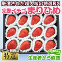 【ふるさと納税】完熟いちご(まりひめ)〔特選大粒デラックス〕...