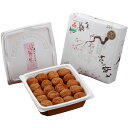【ふるさと納税】紀州南高梅「梅の里から」