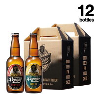 C-10田辺市唯一のクラフトビール2種類12本セット