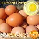 13位! 口コミ数「0件」評価「0」【3カ月定期便】とりとんファームの平飼いたまご10個入り×3パック / 田辺市 卵 たまご 鶏卵 平飼い 卵かけごはん