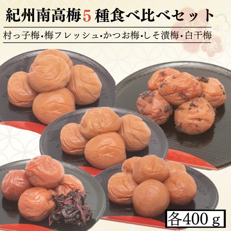 【ふるさと納税】 【紀州南高梅5種食べ比べ】 村っ子梅・梅フレッシュ・しそ漬梅・かつお梅・白干梅　各400g / 和歌山 田辺市 紀州南高梅 南高梅 梅干し 梅干 梅 うめ 肉厚 お米 おにぎり 健康 はちみつ入り しそ漬け セット 詰合せ 食べ比べのサムネイル