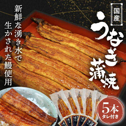 国産うなぎ蒲焼 (5本) タレ付 / 和歌山 田辺市 国産 国産うなぎ 国産鰻 うなぎ 鰻 蒲焼 かば焼き 土用の丑の日 冷凍