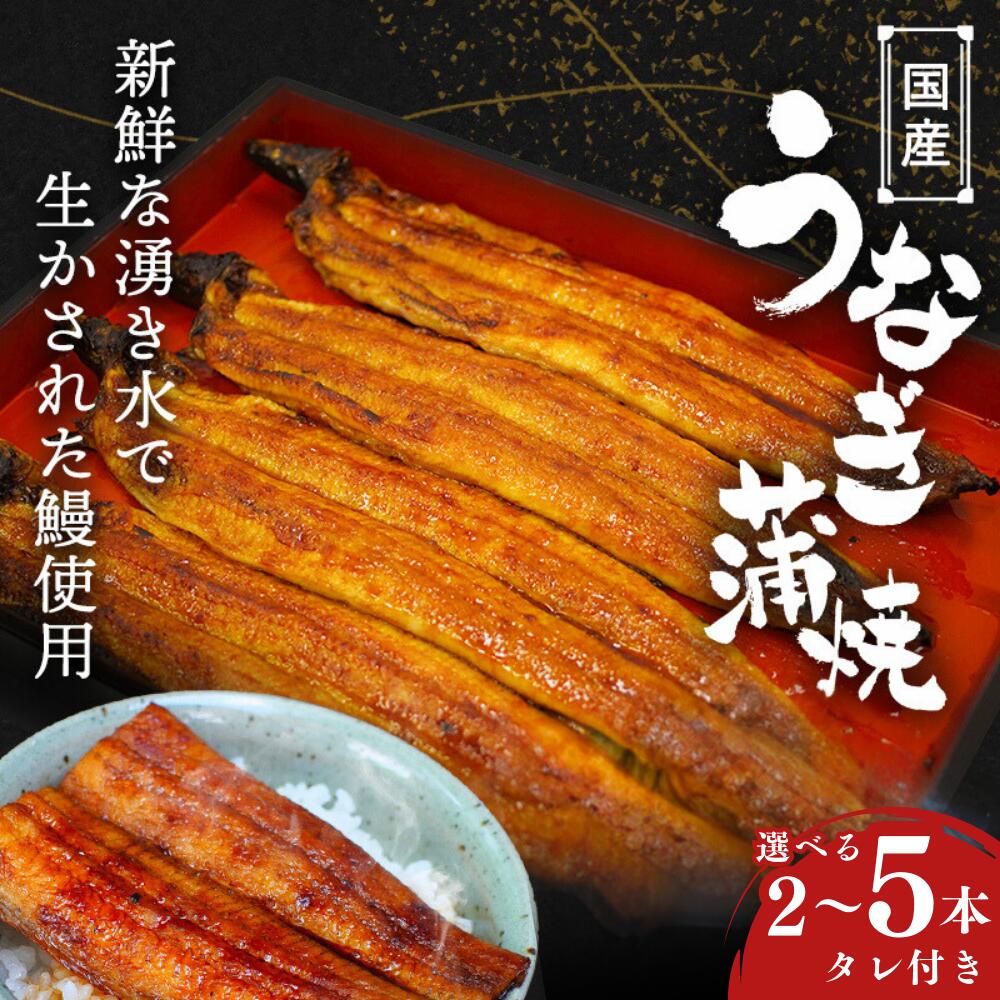 [土用の丑の日][期間限定]うなぎ 国産うなぎ蒲焼 タレ付 / 和歌山 田辺市 国産 国産うなぎ 国産鰻 鰻 蒲焼 かば焼き 冷凍