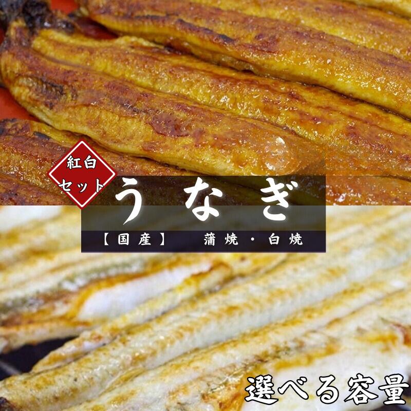 国産うなぎ 蒲焼 白焼 選べる容量 / 田辺市 国産 国産うなぎ 国産鰻 うなぎ 鰻 蒲焼 かば焼き 白焼 しら焼き 土用の丑の日 冷凍 和歌山