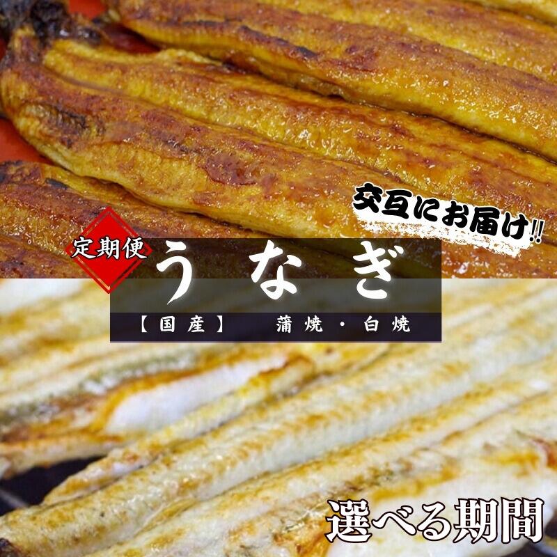 [定期便][交互にお届け]国産うなぎ蒲焼 国産うなぎ白焼 醤油・わさび付き 選べる配送期間 / 定期便 毎月お届け 和歌山 田辺市 国産 国産うなぎ 国産鰻 うなぎ 鰻 鰻丼 うな丼 土用の丑の日