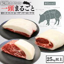 【ふるさと納税】紀州イノシシ 一頭まるごと 肩ロース ロース ヒレ ウデ バラ モモ チマキ 25kg以上 / 田辺市 猪肉 イノシシ肉 イノシシ 紀州ジビエ ジビエ