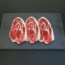 【ふるさと納税】ぼたん鍋用「イノシシ バラ肉」スライス 300g / 田辺市 猪肉 イノシシ肉 イノシシ ボタン ぼたん ぼたん鍋 鍋 紀州ジビエ ジビエ バラ...