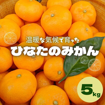 【先行予約】ひなたのみかん 5kg ※2024年12月頃に順次発送予定【期間限定・先行予約・2024/11/30まで】 / 和歌山 田辺市 みかん 期間限定 先行予約 ミカン 紀州