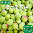 返礼品詳細 内容量： 1kg／2kg／3kg／5kg／10kg 申込期限： 2024/5/20まで 2024年5月下旬～6月初旬頃に順次発送予定 保存方法： 到着後すぐに開封して、お早めにご利用ください。 製造元： 有限会社マルヤマ 和歌山県田辺市新庄町746-1 注意事項： ※天候・生育状況等により発送時期が前後する場合があります。 ※事前にお申し出がなく、長期不在等によりお礼の品をお受取りできなかった場合、再発送はできません。あらかじめご了承くださいませ。 ※出荷の際検品後発送しておりますが、万一商品に問題がございましたら破棄やお召し上がりになる前にご連絡ください。 ※到着予定日から、3日以上経過したものや、破棄されたものにつきましては、ご対応することが出来ませんのであらかじめご了承ください。 　紀州南高梅日本一の競り市場（田辺中央青果）より厳選してお届けいたします。 梅酒や梅シロップなど幅広くお使いいただけます。 青梅レシピを記載した冊子「チャレンジレシピ」が付いているので、初めての方でも安心して お作りいただけます。 田辺中央青果・・・毎年5月～7月上旬の約1ヵ月半で南高梅が約1500トン流通する市場 和歌山産にこだわり、南高梅の梅干し、温州みかん、 フルーツ等旬の物をお届けして和歌山の魅力をお伝えしたいと思います。