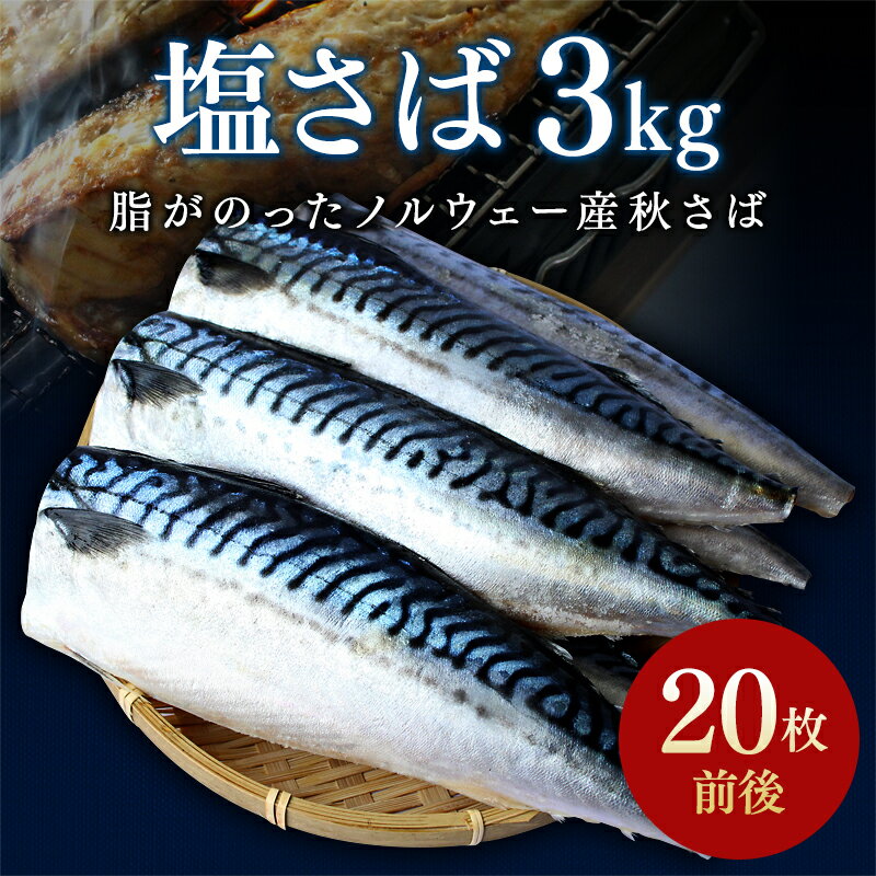 塩さばフィレ 3kg(約20枚前後） / 切り身 切身 サバ 鯖 焼き魚 甘塩 冷凍 おかず お弁当 和歌山県 田辺市