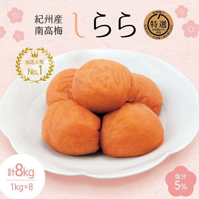 【ふるさと納税】＼レビューキャンペーン／ 紀州産南高梅 梅干し しらら（塩分5％）1kg（500g×2入）×8個 / 梅干 中田食品 和歌山 紀州南高梅 南高梅 梅干し 田辺 梅干 梅 うす塩 減塩 塩分控えめ ご飯のお供