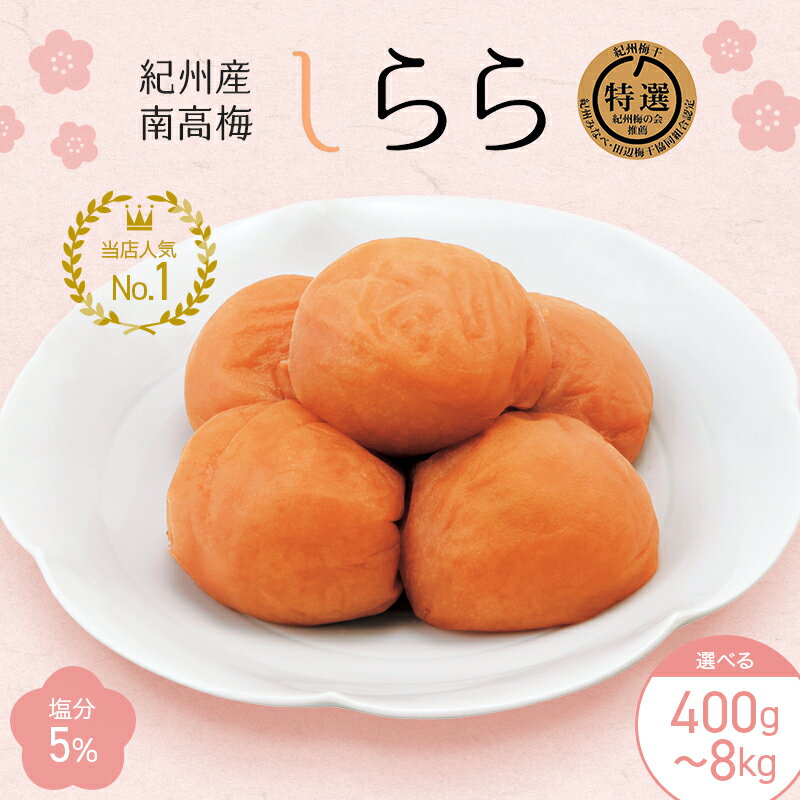 【ふるさと納税】紀州産南高梅 梅干し しらら （塩分5％）【内容量が選べる400g～8kg】 / A級品 梅干 ...