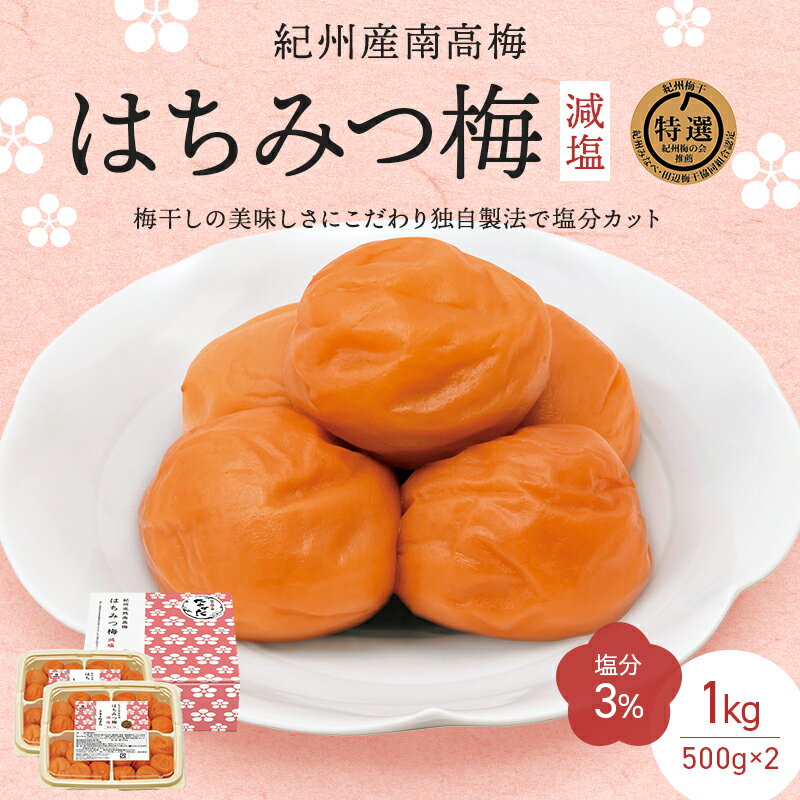 【ふるさと納税】紀州南高梅 はちみつ梅 減塩（塩分3％）1kg(500g×2) / 和歌山 田辺市 紀州南高梅 南...