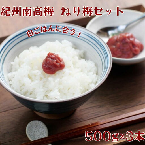 【ふるさと納税】紀州南高梅 ねり梅セット (500g×3本) / 梅干し 梅干 梅 田辺市 紀州南高梅 南高梅 うめ 肉厚 お米 梅肉 しそ しそ風味 練り梅 練梅 【ふるさと納税】紀州南高梅 ねり梅セット (500g×3本) / 梅干し 梅干 梅 田辺市 紀州南高梅 南高梅 うめ 肉厚 お米 梅肉 しそ しそ風味 練り梅 練梅