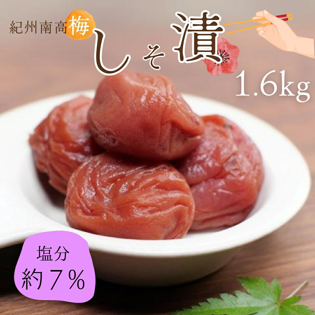 【ふるさと納税】紀州南高梅 しそ漬（塩分約7％）1.6kg（800g×2） /和歌山 田辺市 紀州南高梅 南高梅 梅干し 梅干 梅 うめ 肉厚 お米 おにぎり 焼酎 梅酒 健康 しそ梅 産地直送